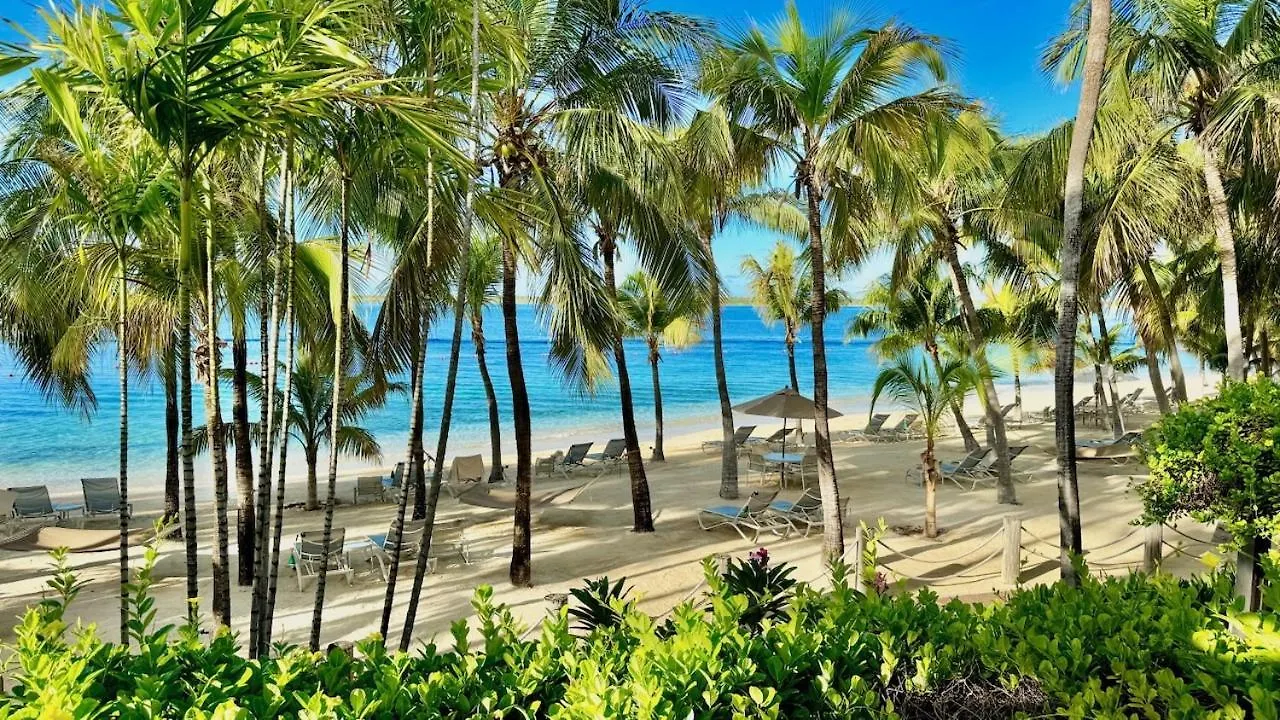 Harbour Village Beach Club Playa Resort
