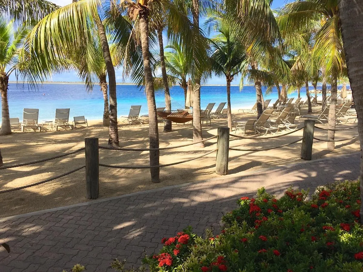 Harbour Village Beach Club Playa Resort