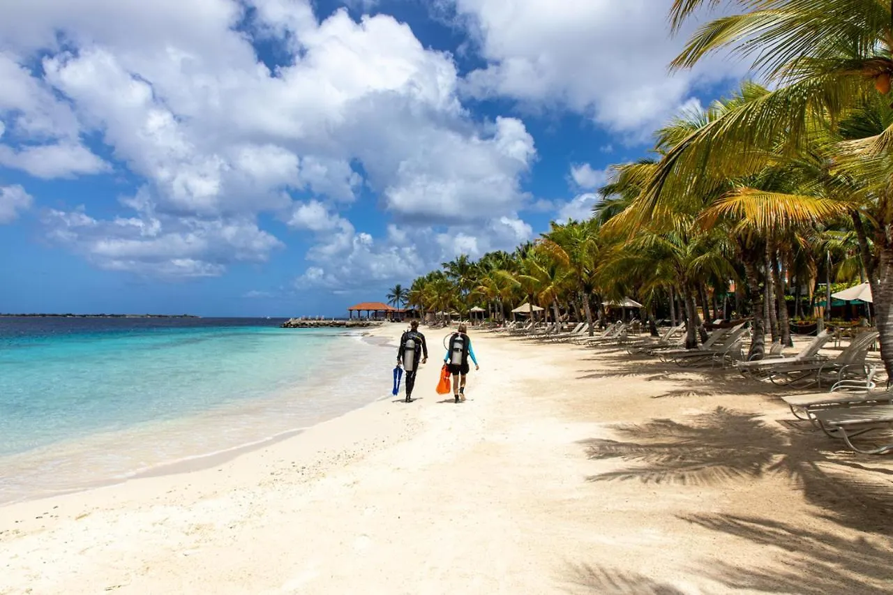 Harbour Village Beach Club Playa Resort