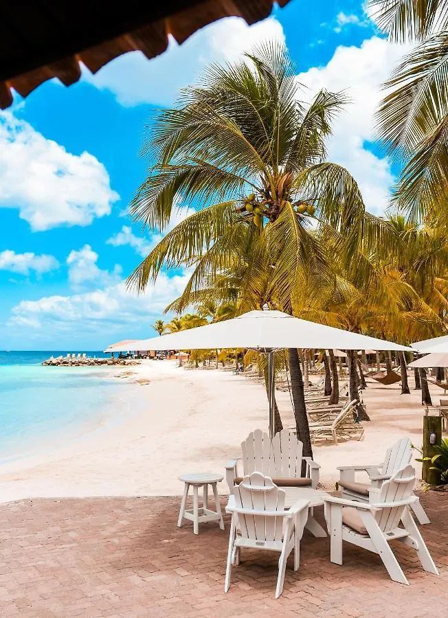 Resort Harbour Village Beach Club Playa