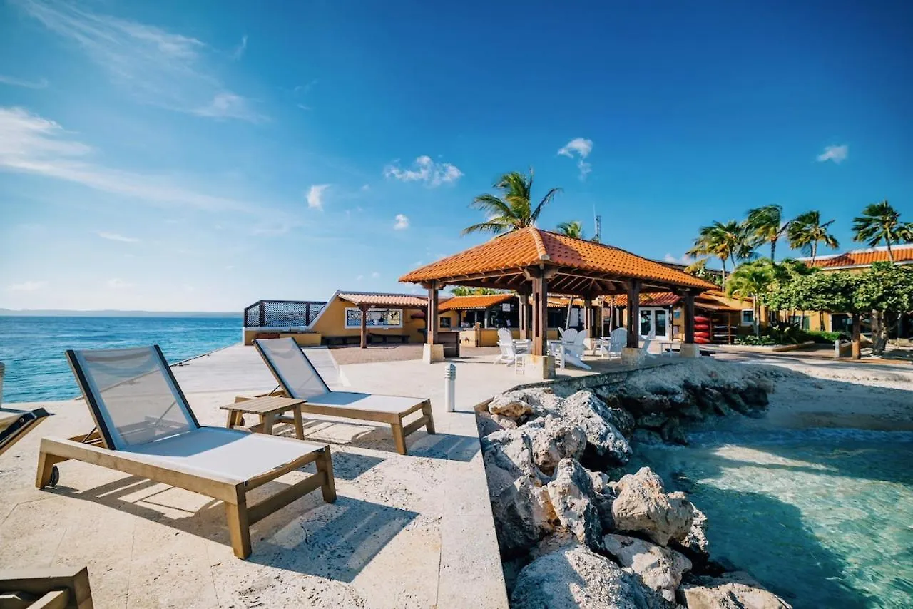 Resort Harbour Village Beach Club Playa