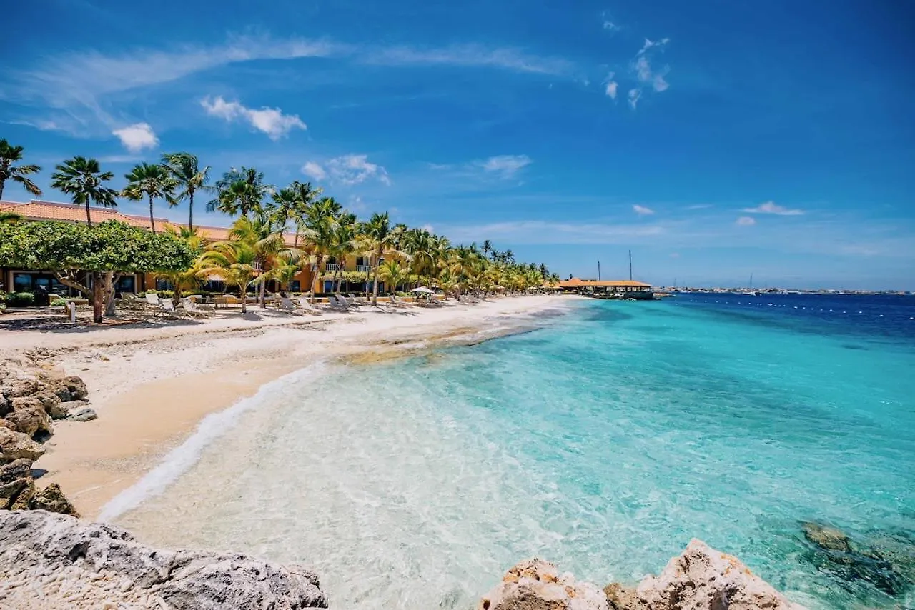 Harbour Village Beach Club Playa