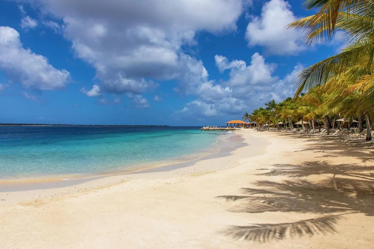 Harbour Village Beach Club Playa