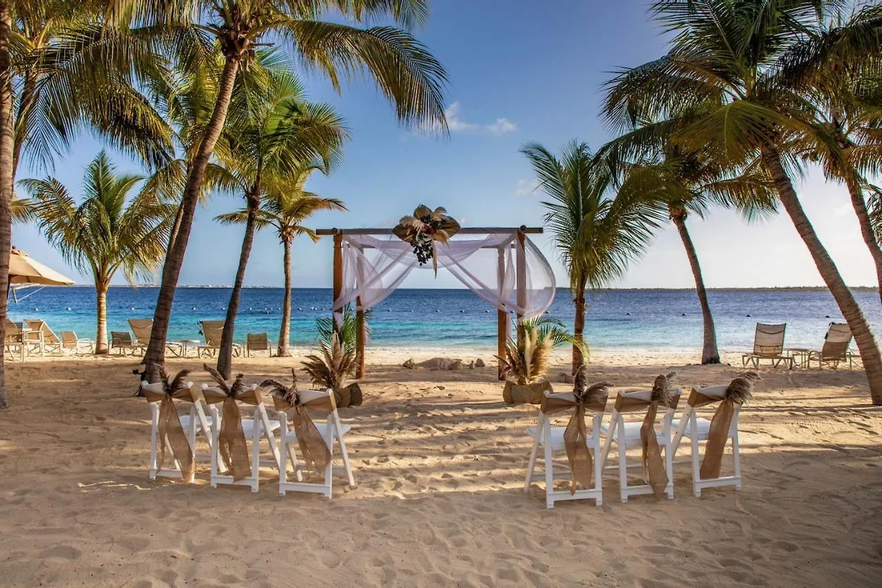 Harbour Village Beach Club Playa Resort