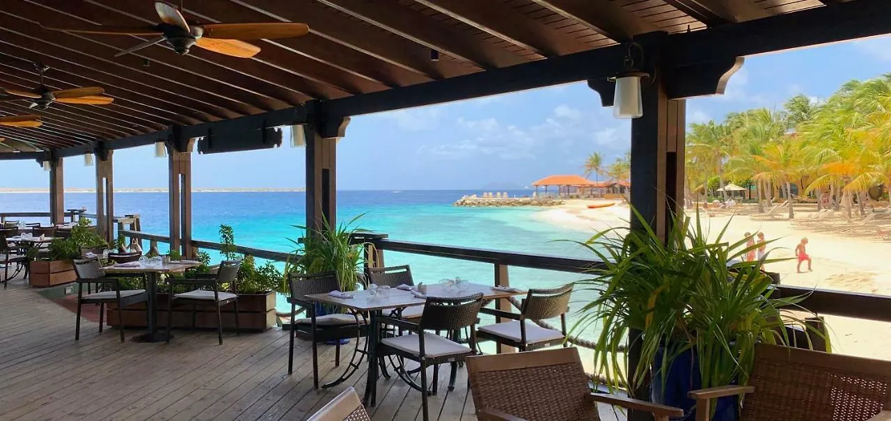 Harbour Village Beach Club Playa Resort